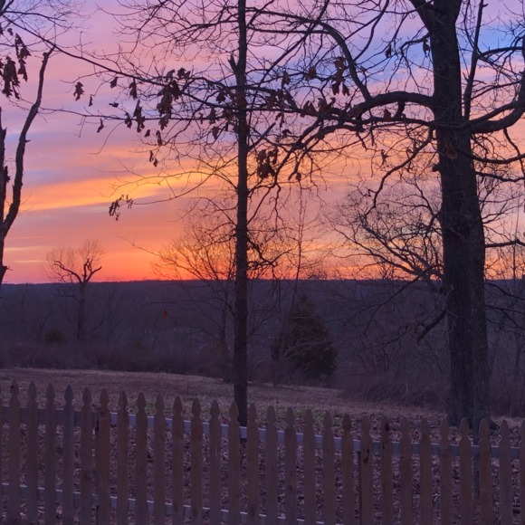 Meet your Posher, Seth - Picture 1 of 1